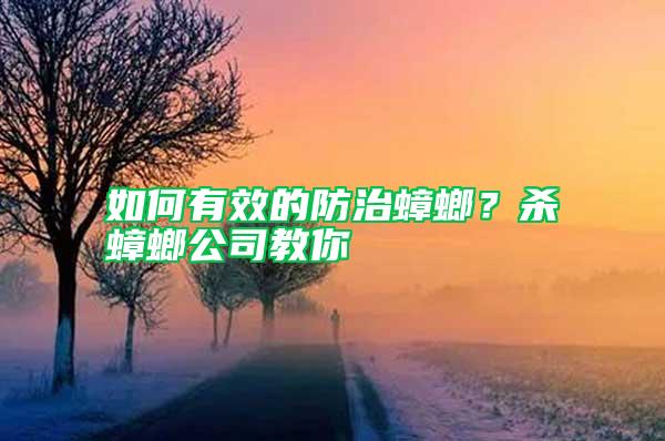 如何有效的防治蟑螂？杀蟑螂公司教你