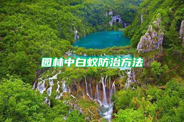 园林中白蚁防治方法