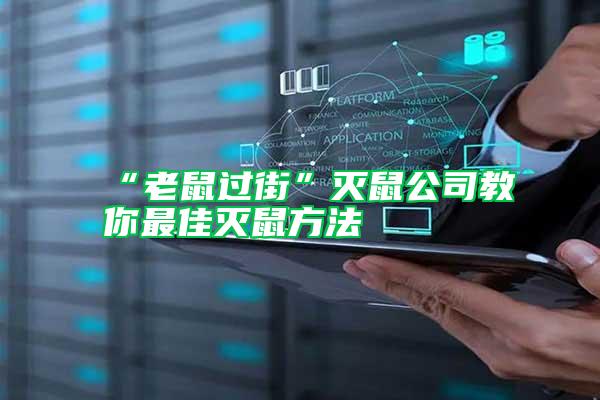 “老鼠过街”灭鼠公司教你最佳灭鼠方法