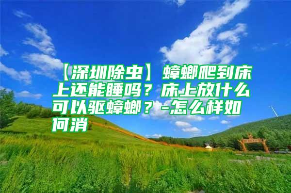 【深圳除虫】蟑螂爬到床上还能睡吗？床上放什么可以驱蟑螂？-怎么样如何消