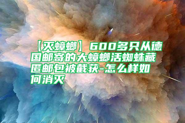 【灭蟑螂】600多只从德国邮寄的大蟑螂活蜘蛛藏匿邮包被截获-怎么样如何消灭