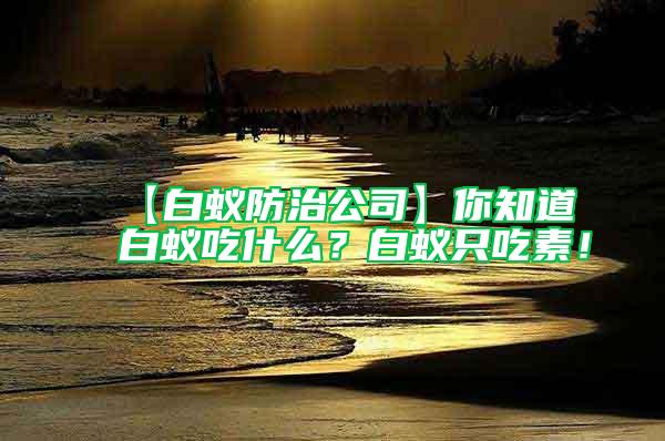 【白蚁防治公司】你知道白蚁吃什么？白蚁只吃素！