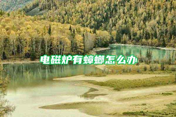 电磁炉有蟑螂怎么办