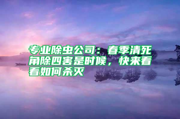 专业除虫公司：春季清死角除四害是时候，快来看看如何杀灭