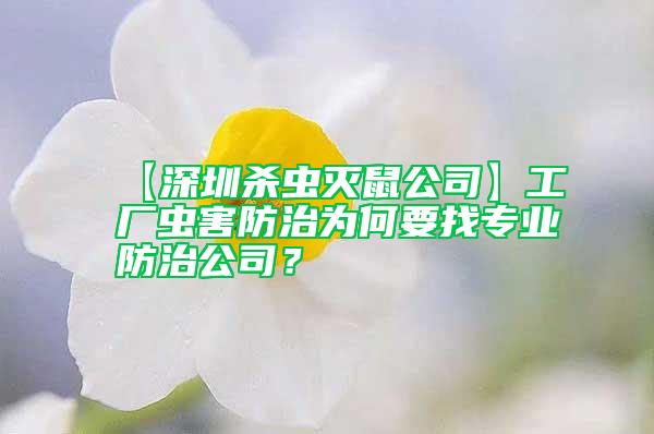 【深圳杀虫灭鼠公司】工厂虫害防治为何要找专业防治公司？