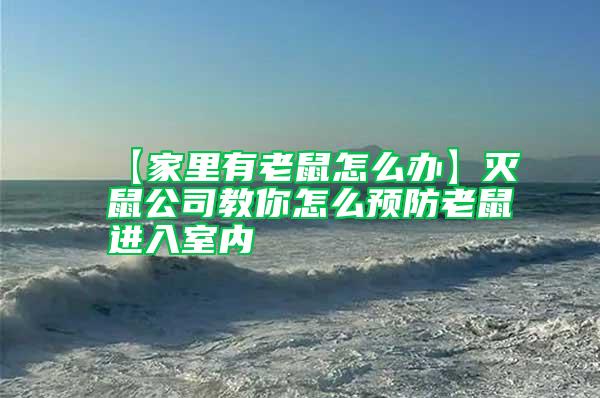 【家里有老鼠怎么办】灭鼠公司教你怎么预防老鼠进入室内