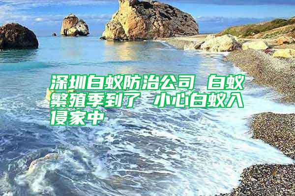 深圳白蚁防治公司 白蚁繁殖季到了 小心白蚁入侵家中