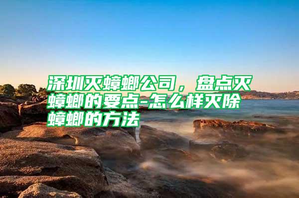 深圳灭蟑螂公司，盘点灭蟑螂的要点-怎么样灭除蟑螂的方法