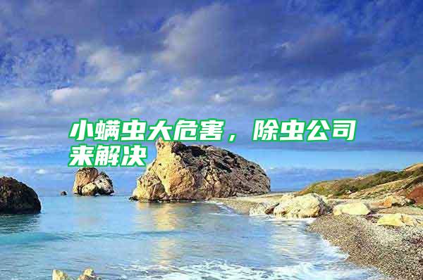 小螨虫大危害，除虫公司来解决