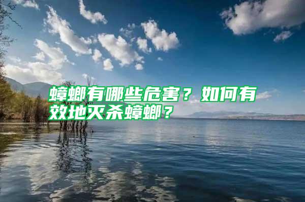 蟑螂有哪些危害？如何有效地灭杀蟑螂？