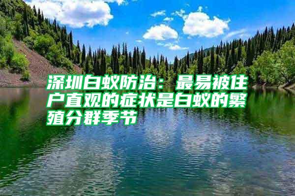 深圳白蚁防治：最易被住户直观的症状是白蚁的繁殖分群季节