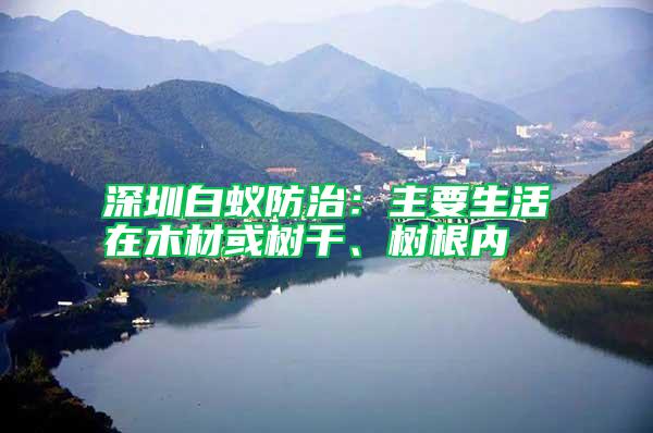 深圳白蚁防治：主要生活在木材或树干、树根内