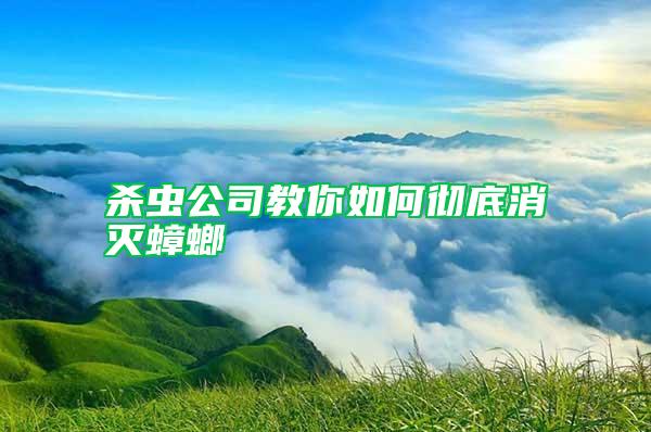 杀虫公司教你如何彻底消灭蟑螂