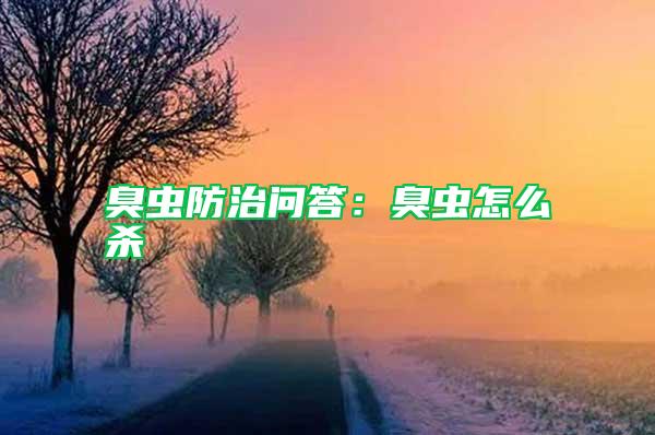 臭虫防治问答：臭虫怎么杀