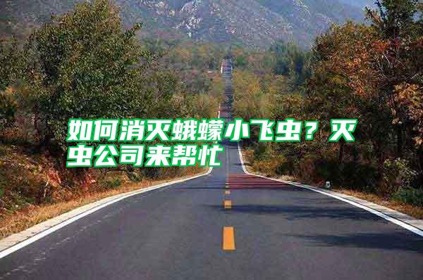如何消灭蛾蠓小飞虫？灭虫公司来帮忙