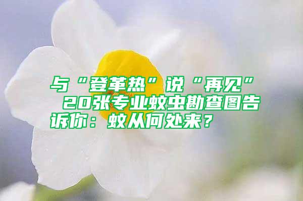 与“登革热”说“再见” 20张专业蚊虫勘查图告诉你：蚊从何处来？