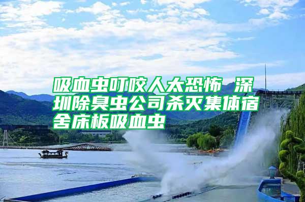 吸血虫叮咬人太恐怖 深圳除臭虫公司杀灭集体宿舍床板吸血虫