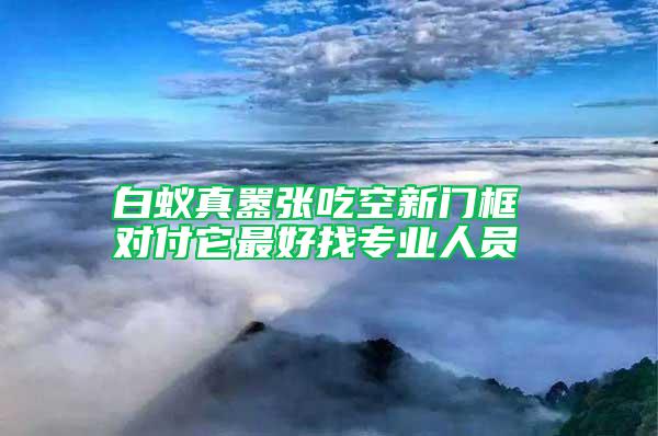 白蚁真嚣张吃空新门框 对付它最好找专业人员