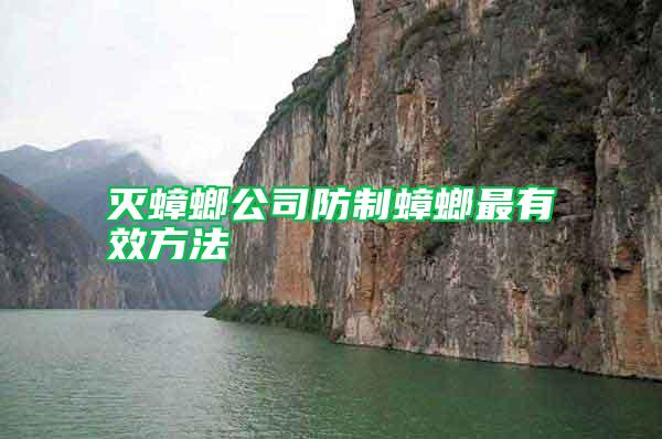 灭蟑螂公司防制蟑螂最有效方法