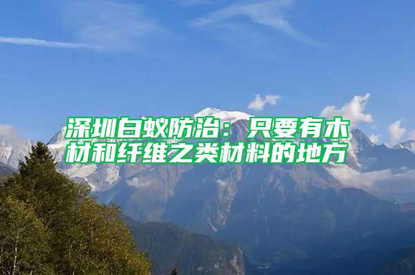 深圳白蚁防治：只要有木材和纤维之类材料的地方