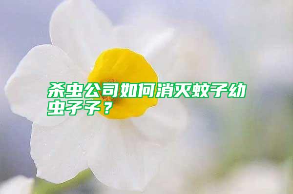 杀虫公司如何消灭蚊子幼虫孑孓？