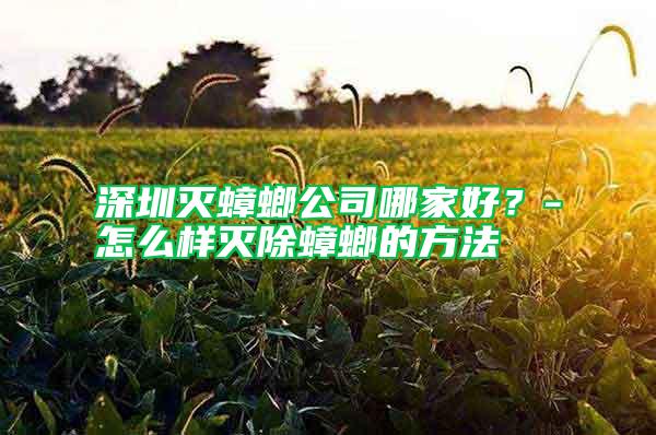 深圳灭蟑螂公司哪家好？-怎么样灭除蟑螂的方法