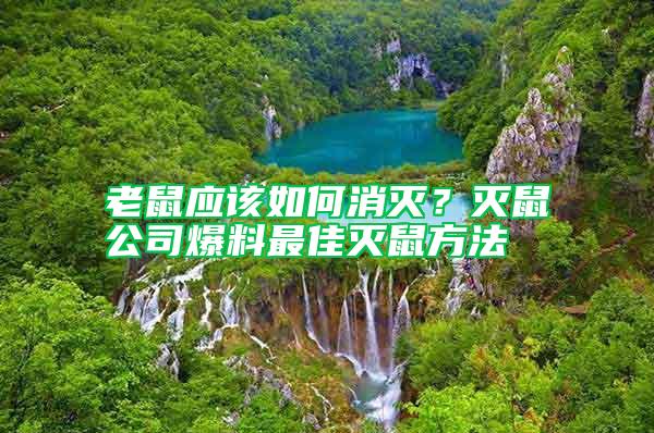 老鼠应该如何消灭？灭鼠公司爆料最佳灭鼠方法