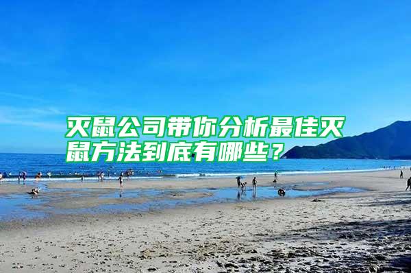 灭鼠公司带你分析最佳灭鼠方法到底有哪些？