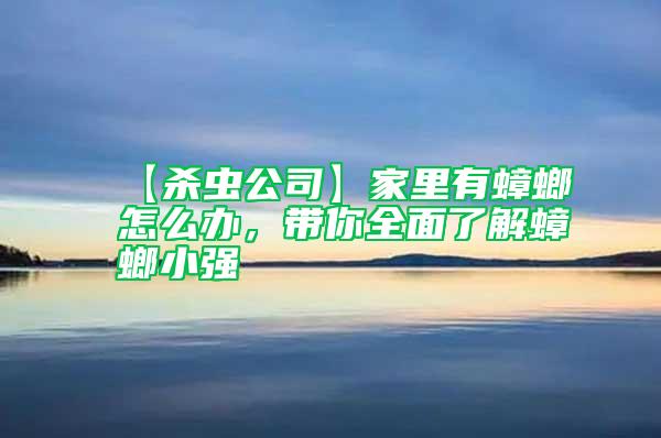 【杀虫公司】家里有蟑螂怎么办，带你全面了解蟑螂小强