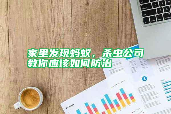 家里发现蚂蚁，杀虫公司教你应该如何防治