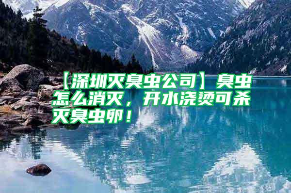 【深圳灭臭虫公司】臭虫怎么消灭，开水浇烫可杀灭臭虫卵！