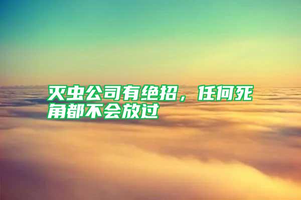 灭虫公司有绝招，任何死角都不会放过