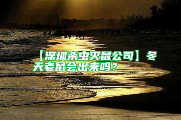 【深圳杀虫灭鼠公司】冬天老鼠会出来吗？