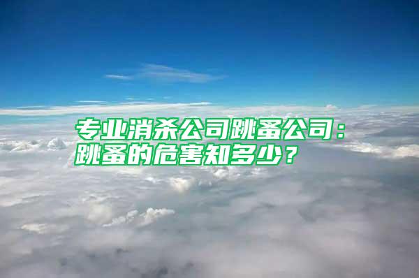 专业消杀公司跳蚤公司：跳蚤的危害知多少？