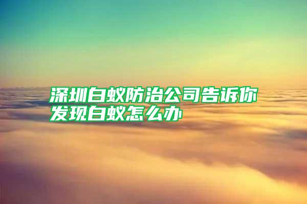 深圳白蚁防治公司告诉你发现白蚁怎么办