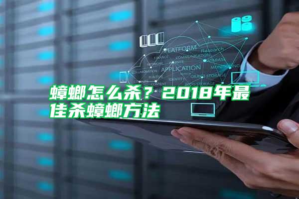 蟑螂怎么杀？2018年最佳杀蟑螂方法