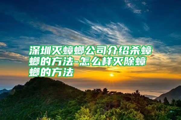 深圳灭蟑螂公司介绍杀蟑螂的方法-怎么样灭除蟑螂的方法