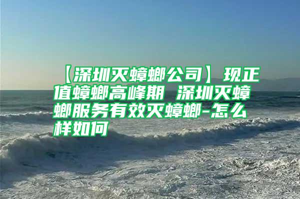 【深圳灭蟑螂公司】现正值蟑螂高峰期 深圳灭蟑螂服务有效灭蟑螂-怎么样如何