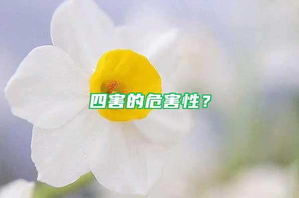 四害的危害性？