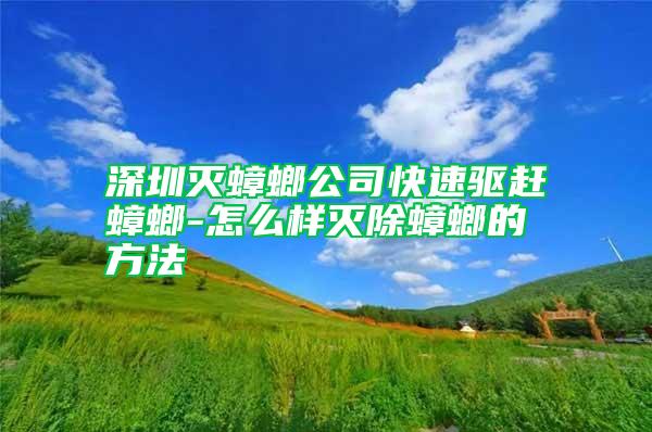 深圳灭蟑螂公司快速驱赶蟑螂-怎么样灭除蟑螂的方法