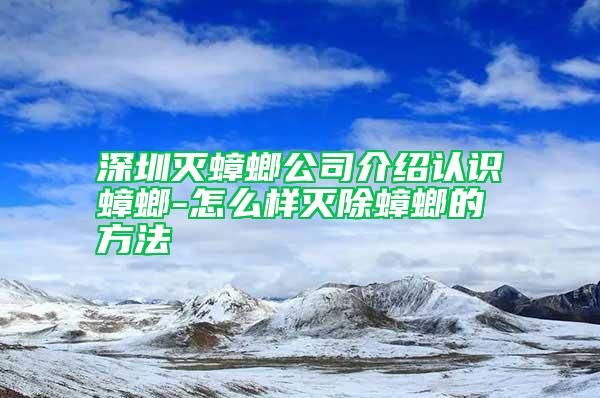 深圳灭蟑螂公司介绍认识蟑螂-怎么样灭除蟑螂的方法