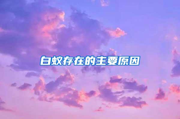 白蚁存在的主要原因