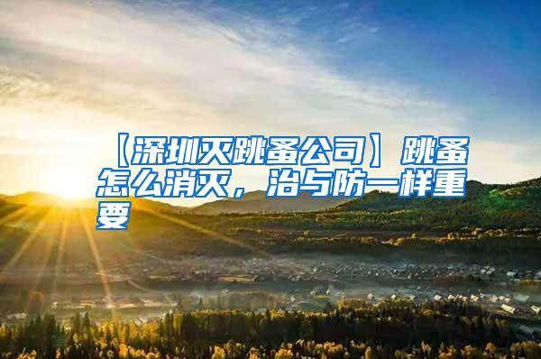 【深圳灭跳蚤公司】跳蚤怎么消灭，治与防一样重要