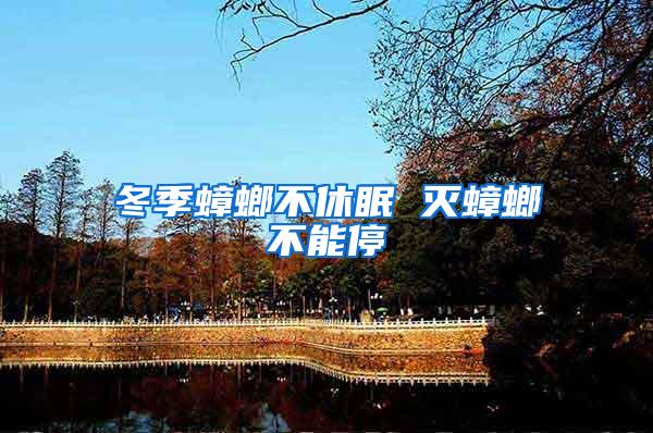 冬季蟑螂不休眠 灭蟑螂不能停