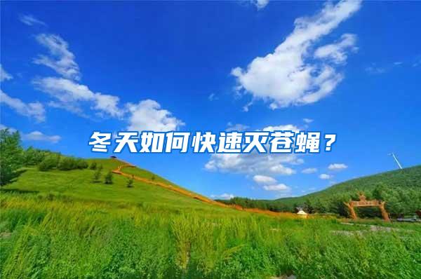 冬天如何快速灭苍蝇？