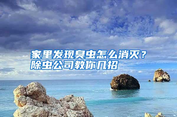 家里发现臭虫怎么消灭？除虫公司教你几招