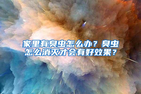 家里有臭虫怎么办？臭虫怎么消灭才会有好效果？