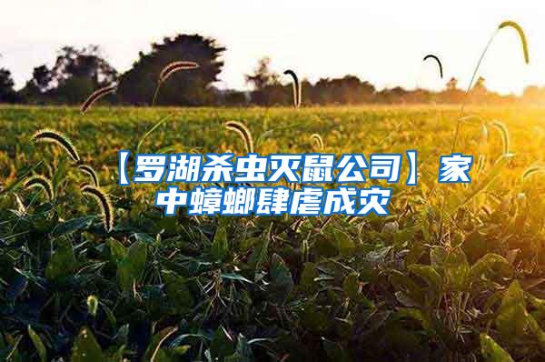 【罗湖杀虫灭鼠公司】家中蟑螂肆虐成灾