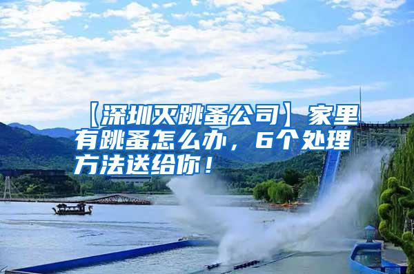 【深圳灭跳蚤公司】家里有跳蚤怎么办，6个处理方法送给你！