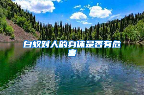 白蚁对人的身体是否有危害
